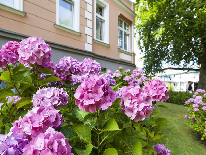 Ostseehotel Villen Im Park - Ein Rovell Hotel Heringsdorf  Eksteriør billede